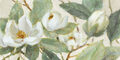 Image Not Available